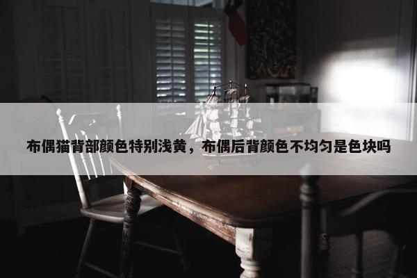 布偶猫背部颜色特别浅黄，布偶后背颜色不均匀是色块吗