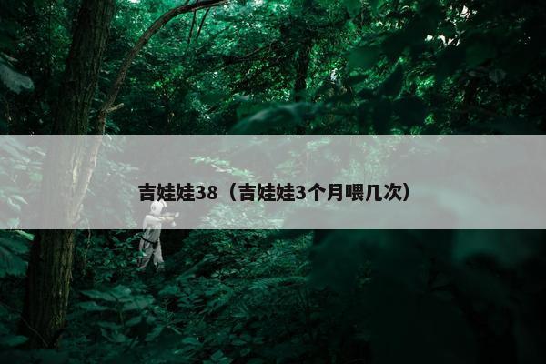 吉娃娃38（吉娃娃3个月喂几次）