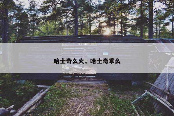 哈士奇么火，哈士奇乖么