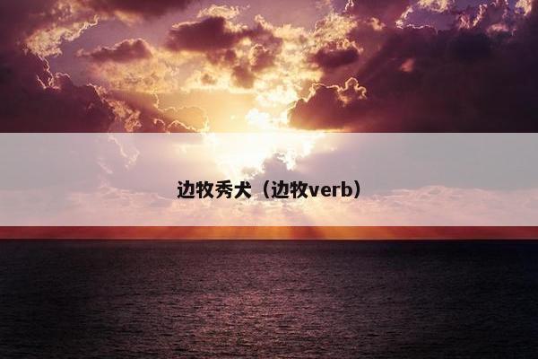 边牧秀犬（边牧verb）