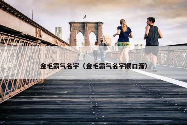 金毛霸气名字（金毛霸气名字顺口溜）