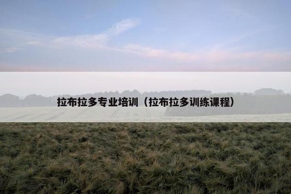 拉布拉多专业培训（拉布拉多训练课程）
