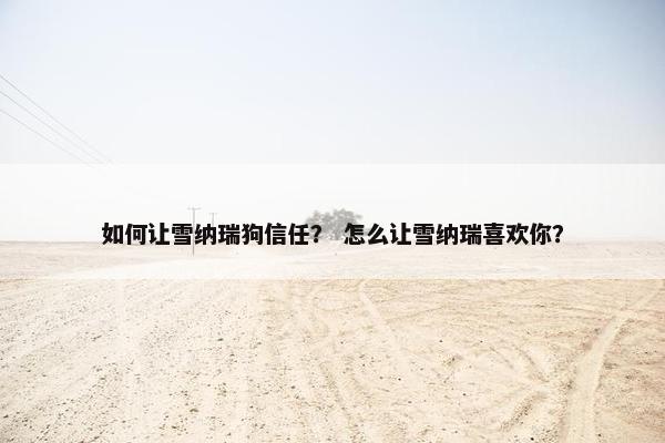 如何让雪纳瑞狗信任？ 怎么让雪纳瑞喜欢你？
