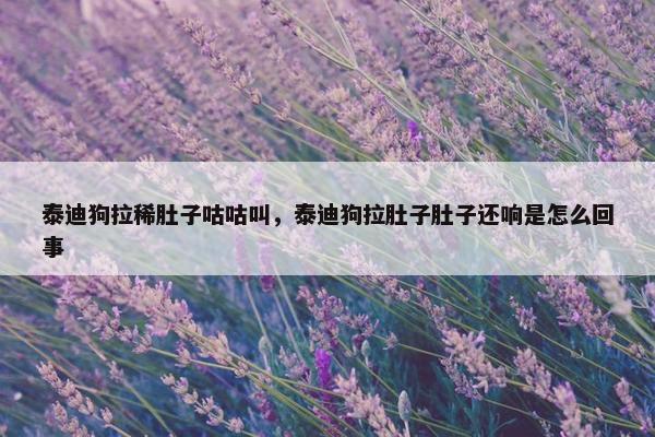 泰迪狗拉稀肚子咕咕叫，泰迪狗拉肚子肚子还响是怎么回事