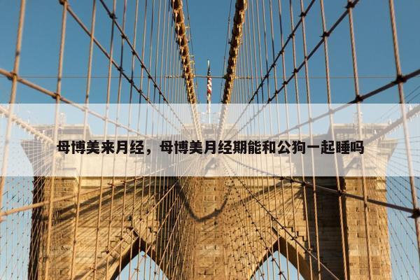 母博美来月经，母博美月经期能和公狗一起睡吗