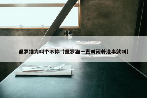 暹罗猫为叫个不停（暹罗猫一直叫闲着没事就叫）