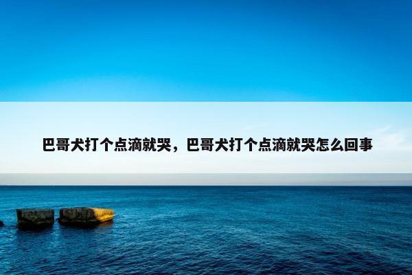 巴哥犬打个点滴就哭，巴哥犬打个点滴就哭怎么回事