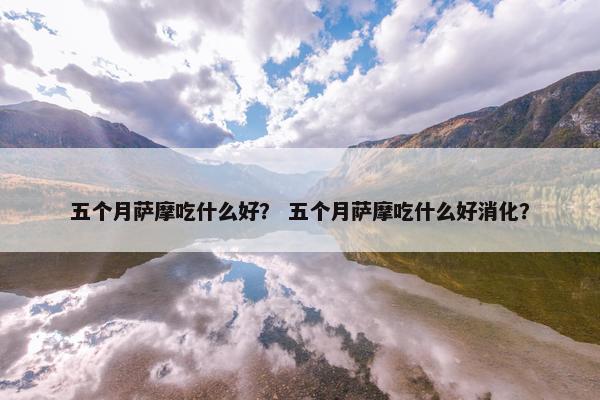 五个月萨摩吃什么好？ 五个月萨摩吃什么好消化？