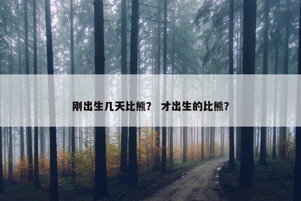 刚出生几天比熊？ 才出生的比熊？