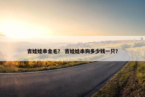 吉娃娃串金毛？ 吉娃娃串狗多少钱一只？