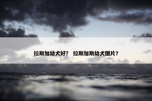 拉斯加幼犬好？ 拉斯加斯幼犬图片？