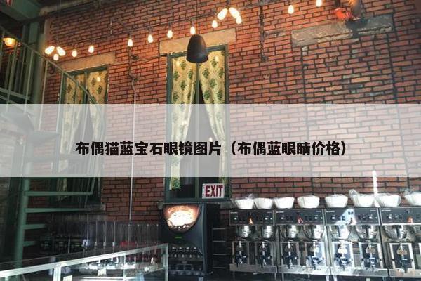 布偶猫蓝宝石眼镜图片（布偶蓝眼睛价格）