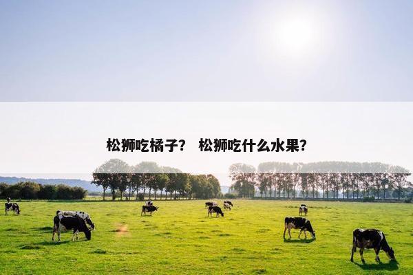 松狮吃橘子？ 松狮吃什么水果？