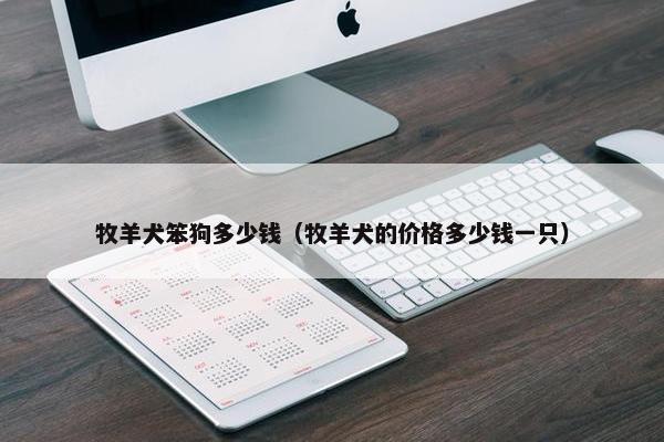 牧羊犬笨狗多少钱（牧羊犬的价格多少钱一只）