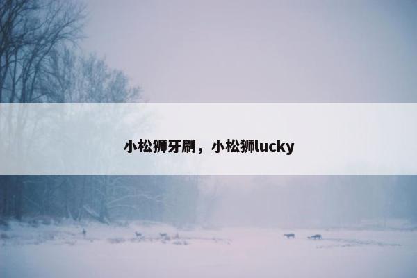 小松狮牙刷，小松狮lucky