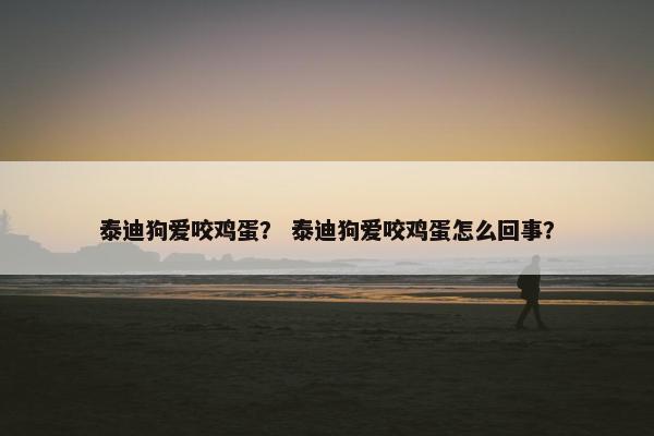 泰迪狗爱咬鸡蛋？ 泰迪狗爱咬鸡蛋怎么回事？