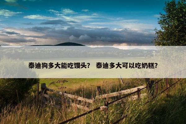 泰迪狗多大能吃馒头？ 泰迪多大可以吃奶糕？