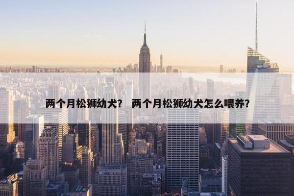 两个月松狮幼犬？ 两个月松狮幼犬怎么喂养？