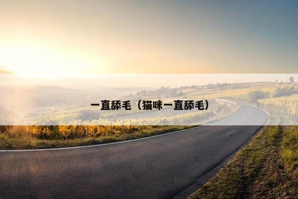 一直舔毛（猫咪一直舔毛）