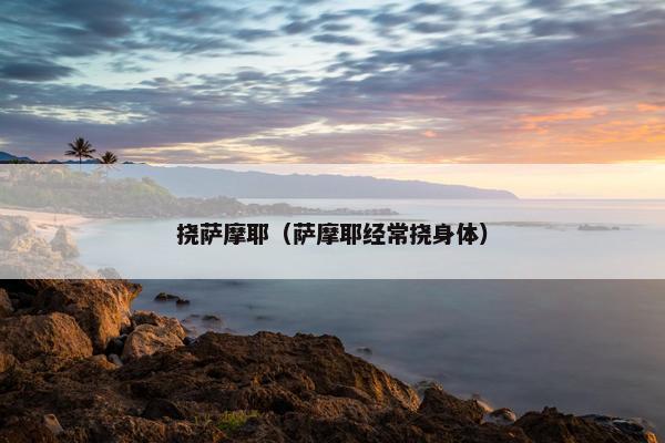 挠萨摩耶（萨摩耶经常挠身体）