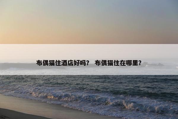 布偶猫住酒店好吗？ 布偶猫住在哪里？