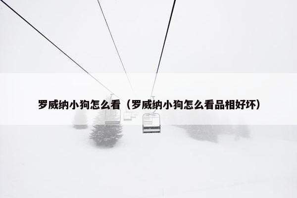 罗威纳小狗怎么看（罗威纳小狗怎么看品相好坏）