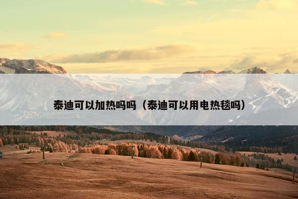 泰迪可以加热吗吗（泰迪可以用电热毯吗）