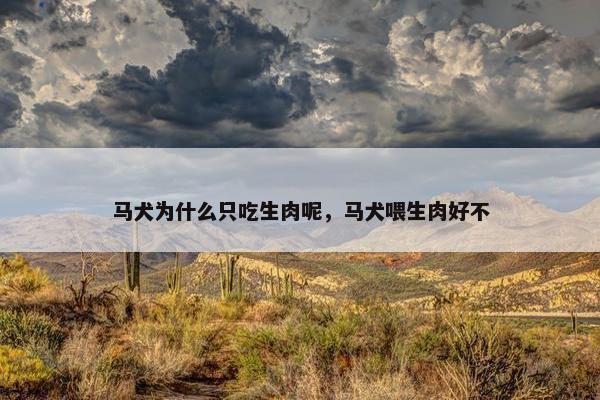 马犬为什么只吃生肉呢，马犬喂生肉好不