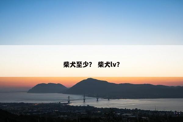 柴犬至少？ 柴犬lv？