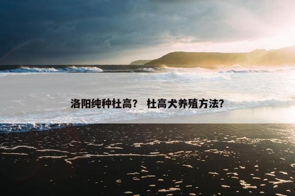洛阳纯种杜高？ 杜高犬养殖方法？