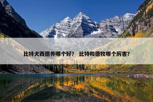比特犬西德养哪个好？ 比特和德牧哪个厉害？