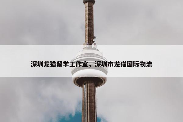 深圳龙猫留学工作室，深圳市龙猫国际物流
