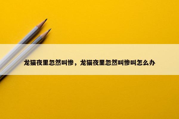 龙猫夜里忽然叫惨，龙猫夜里忽然叫惨叫怎么办