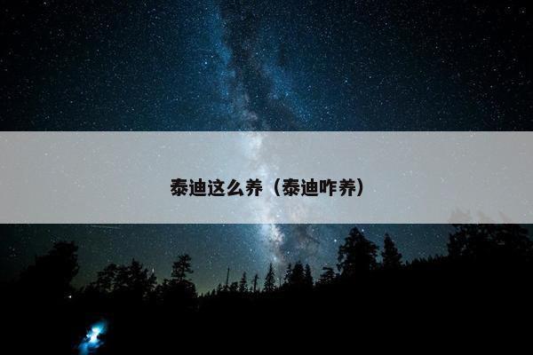 泰迪这么养（泰迪咋养）
