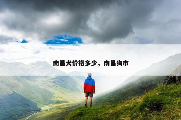 南昌犬价格多少，南昌狗市