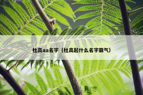 杜高aa名字（杜高起什么名字霸气）
