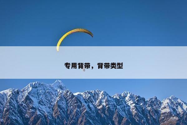 专用背带，背带类型