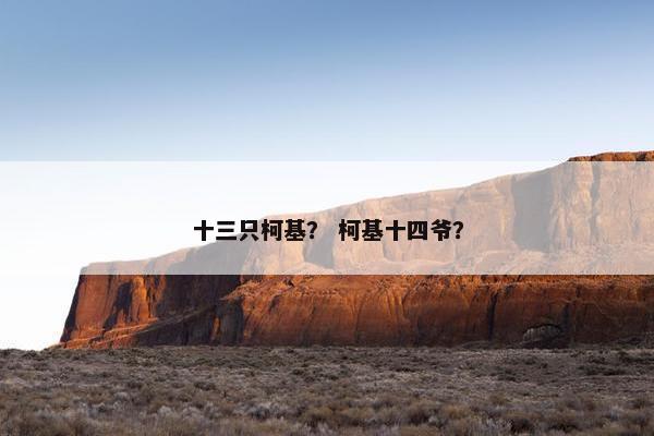 十三只柯基？ 柯基十四爷？