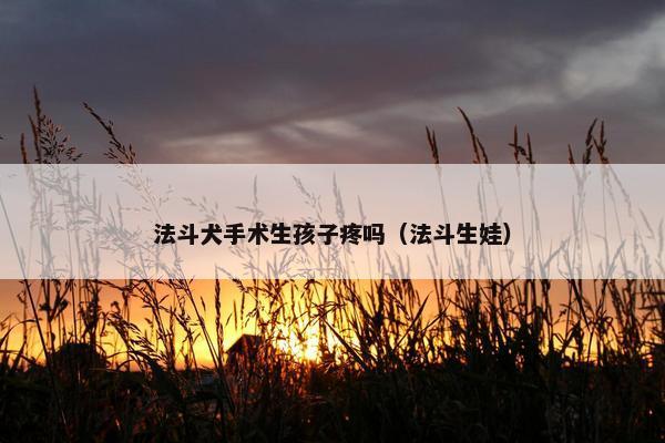 法斗犬手术生孩子疼吗（法斗生娃）