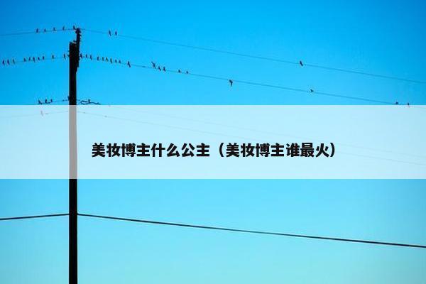 美妆博主什么公主（美妆博主谁最火）