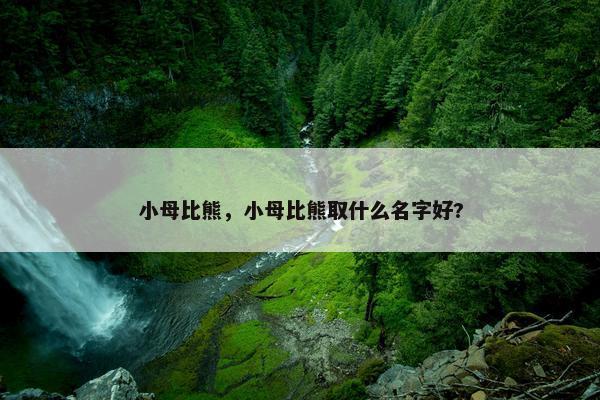 小母比熊，小母比熊取什么名字好?