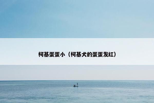 柯基蛋蛋小（柯基犬的蛋蛋发红）