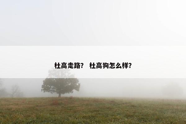 杜高走路？ 杜高狗怎么样？