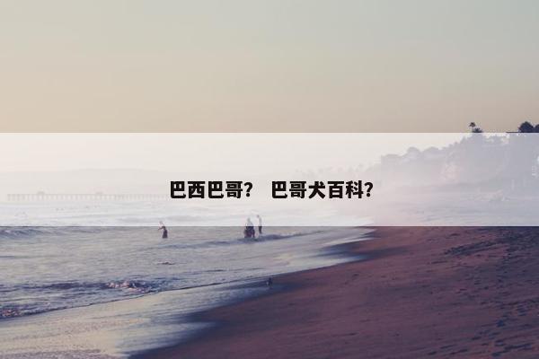 巴西巴哥？ 巴哥犬百科？