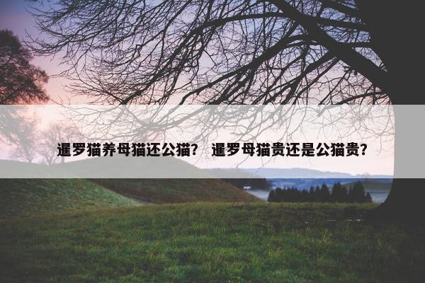 暹罗猫养母猫还公猫？ 暹罗母猫贵还是公猫贵？