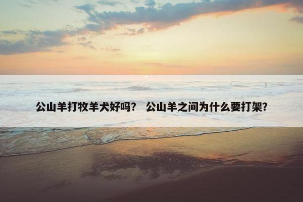 公山羊打牧羊犬好吗？ 公山羊之间为什么要打架？