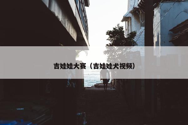 吉娃娃大赛（吉娃娃犬视频）