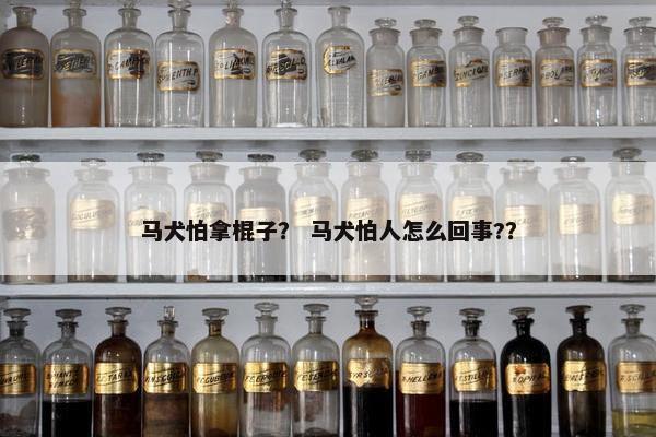 马犬怕拿棍子？ 马犬怕人怎么回事?？