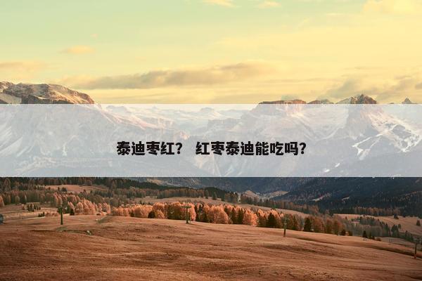 泰迪枣红？ 红枣泰迪能吃吗？