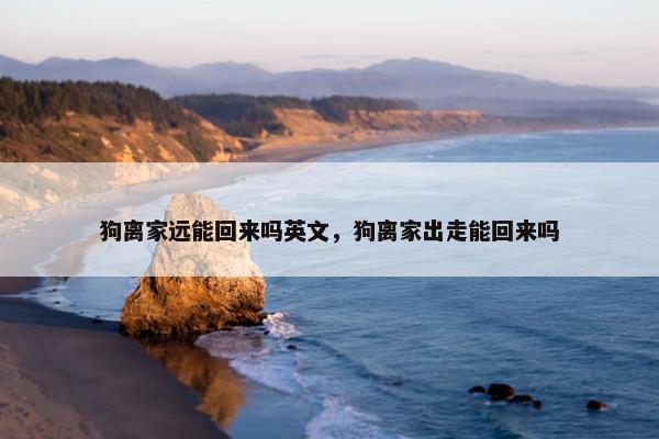 狗离家远能回来吗英文，狗离家出走能回来吗